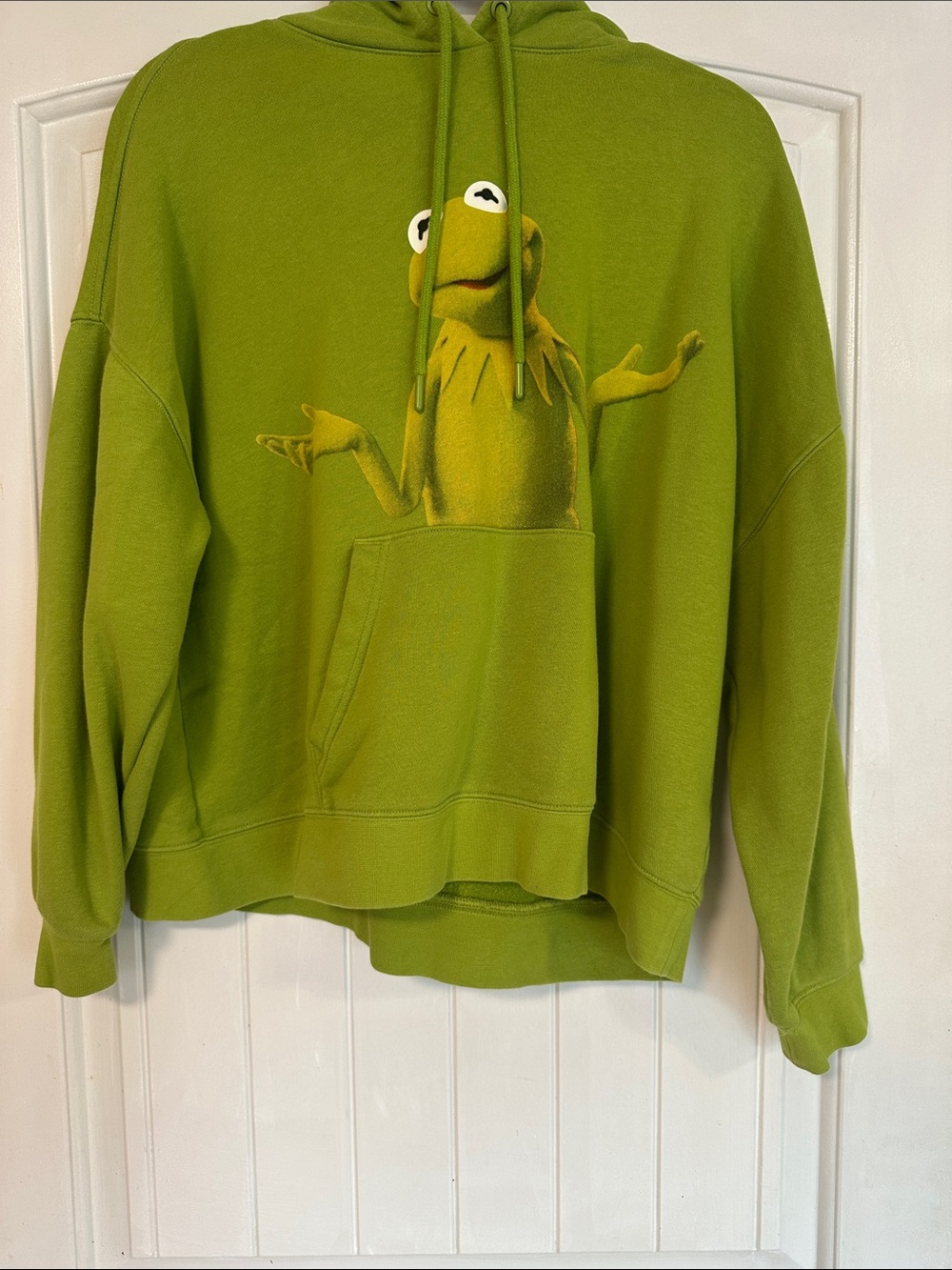 Disney Kermit The Frog Hoodie